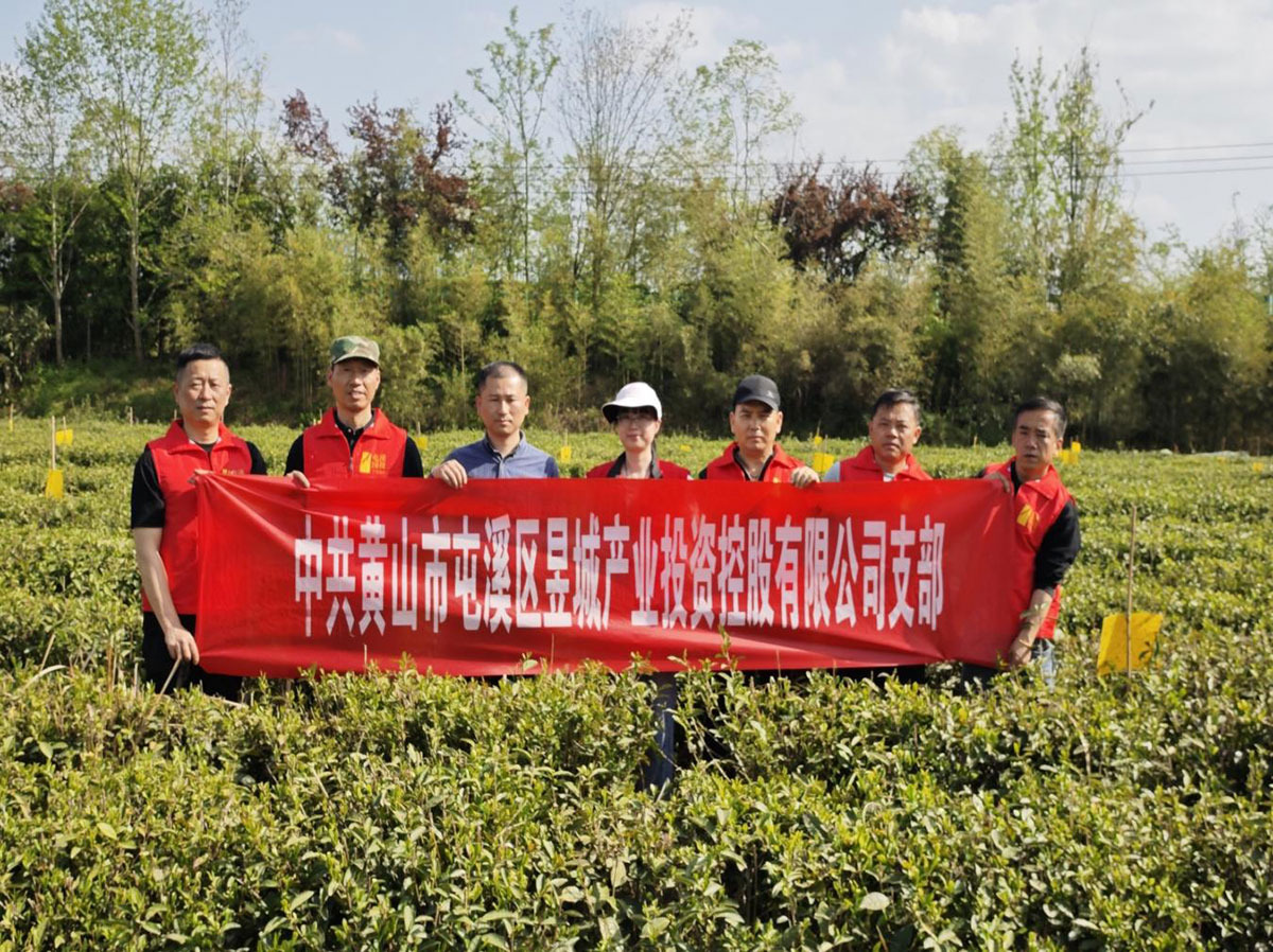 昱城產(chǎn)投公司黨支部開展“茶香潤初心，黨旗映茶園”主題黨日活動