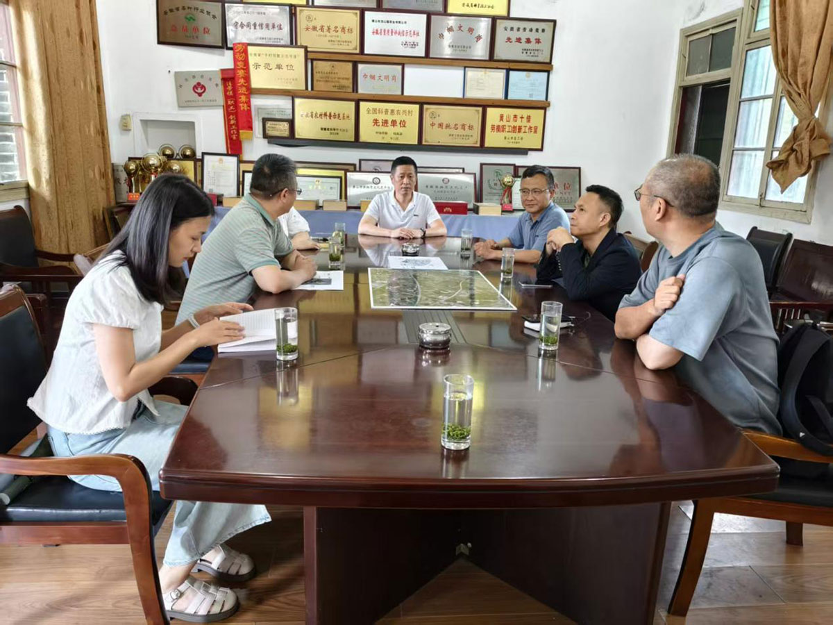 江蘇外聯(lián)采考察團(tuán)到實驗茶場考察，共商茶產(chǎn)業(yè)合作新藍(lán)圖